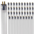 24 Inch 24W 6500K T5 Fluorescent Bulb G5 Bipin Base Pack of 40 F887