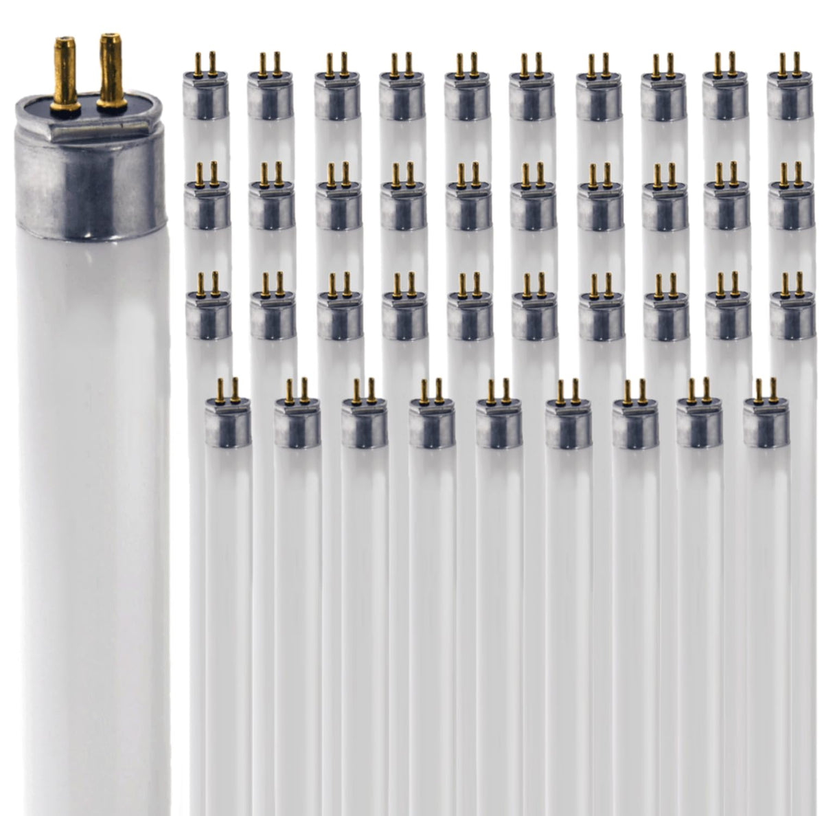 24 Inch 24W 6500K T5 Fluorescent Bulb G5 Bipin Base Pack of 40 F887