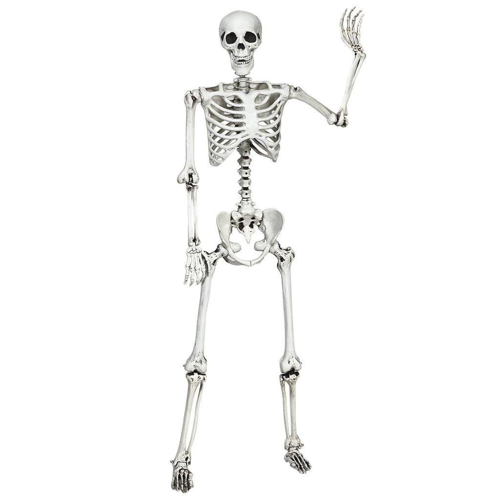 5.4 FT Posable Skeleton Decoration Y341070