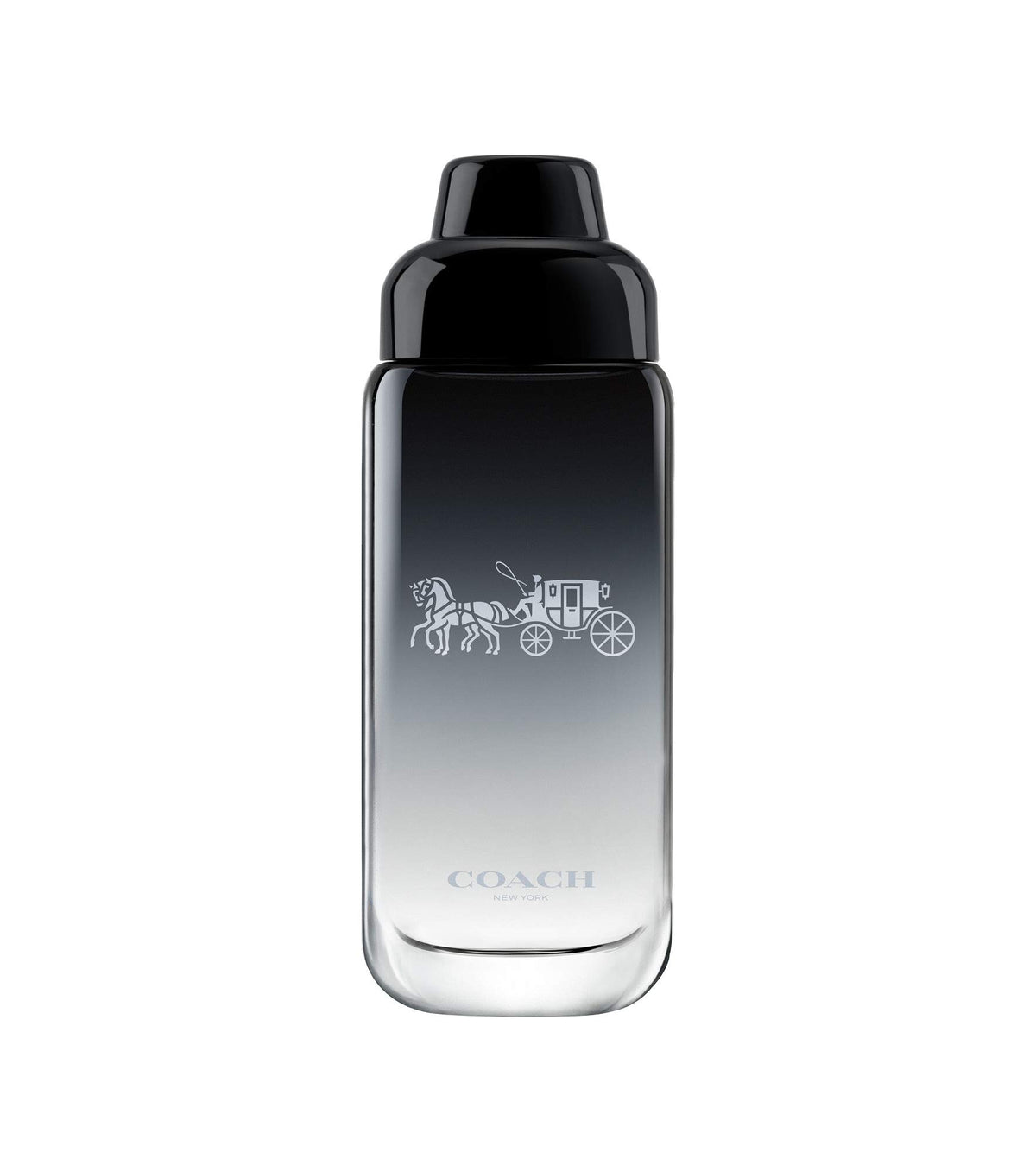 Eau de Toilette Fougere Woody Fragrance C1828