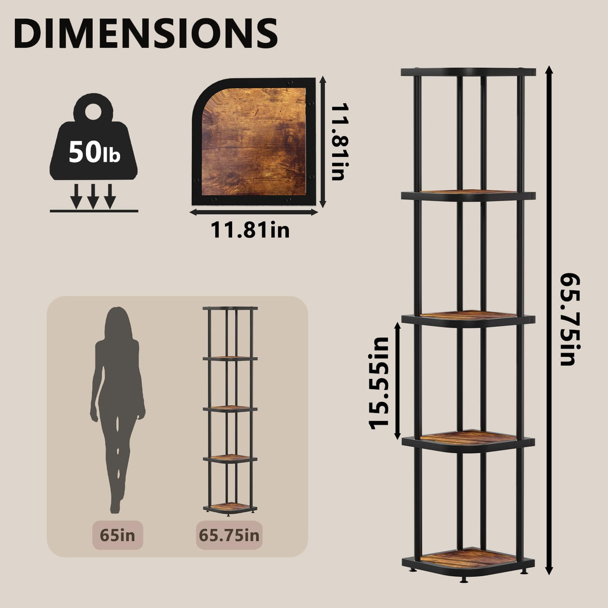 5 Tier Corner Shelf G34895