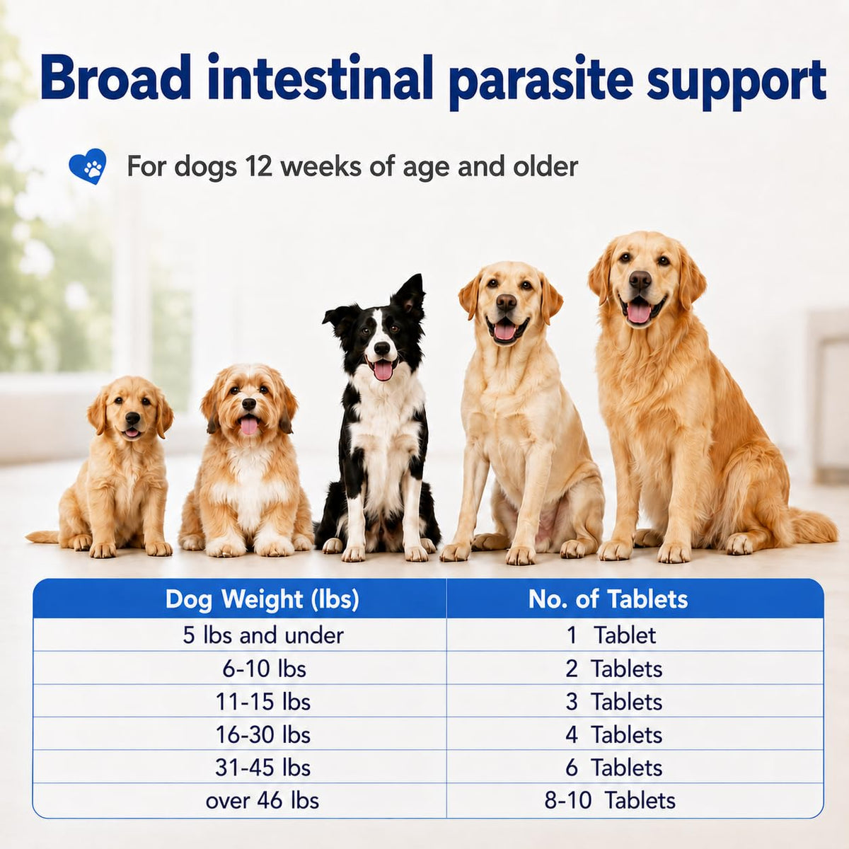 Dewormer for Dogs G5217