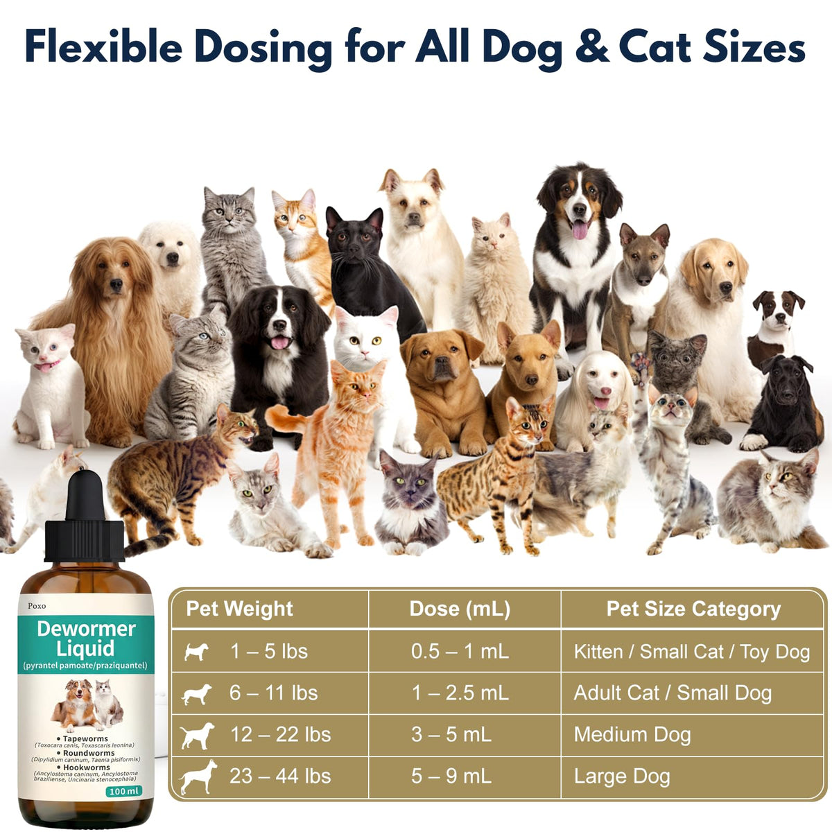 Broad Spectrum Dewormer Liquid for Cats and Dogs 100 mL I5279
