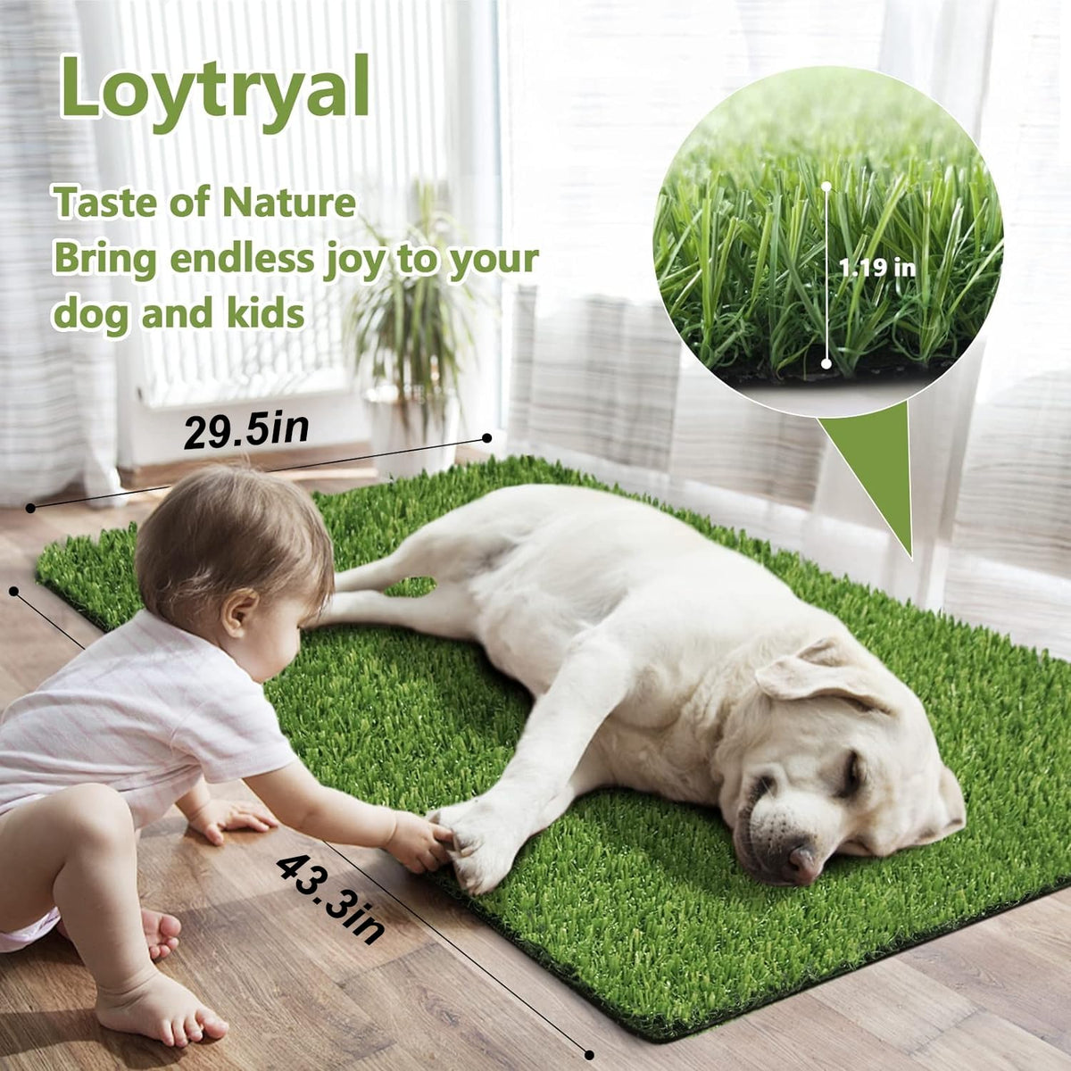 43.3 x 29.5 Inches Washable Artificial Grass Rug O4740
