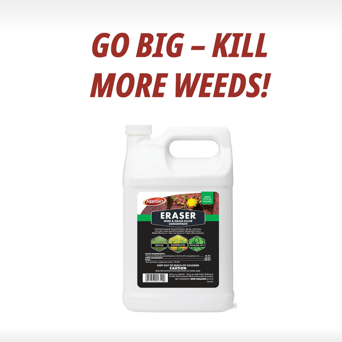 1 Gallon Weed & Grass Killer Concentrate I419