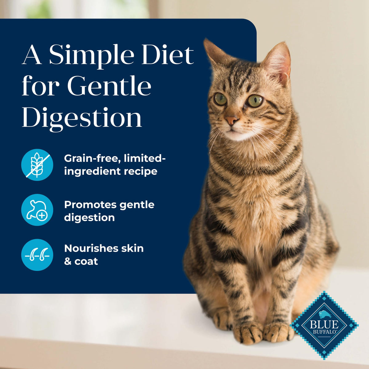 Whitefish Grain-Free Dry Cat Food 5 lb O18745
