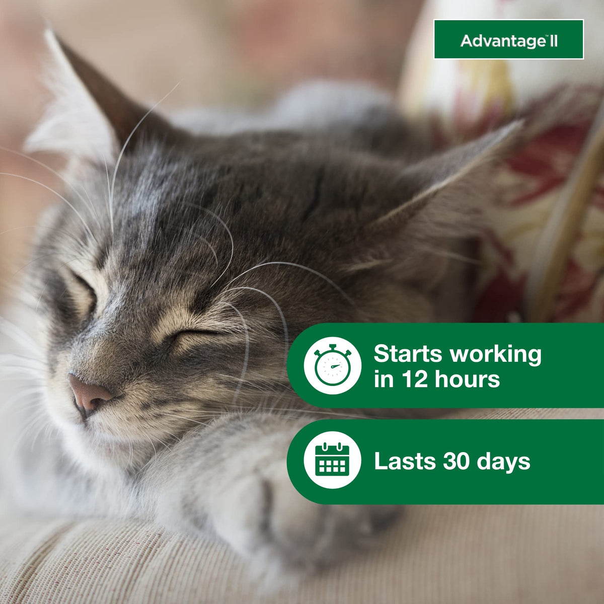 Advantage II Small Cat Topical Flea Treatment & Prevention, 2ct E471