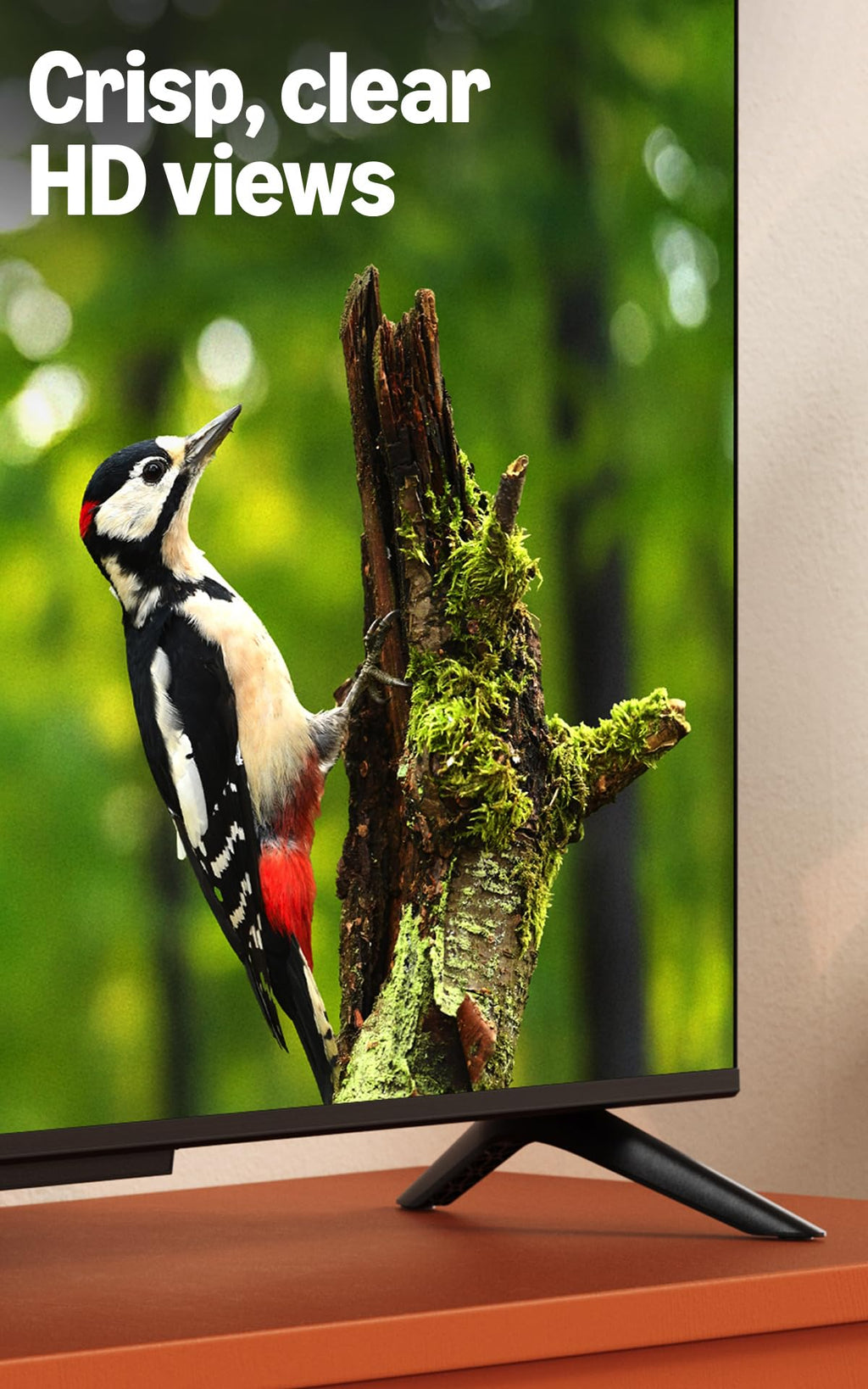 32" HD Smart TV with Alexa Remote O649902