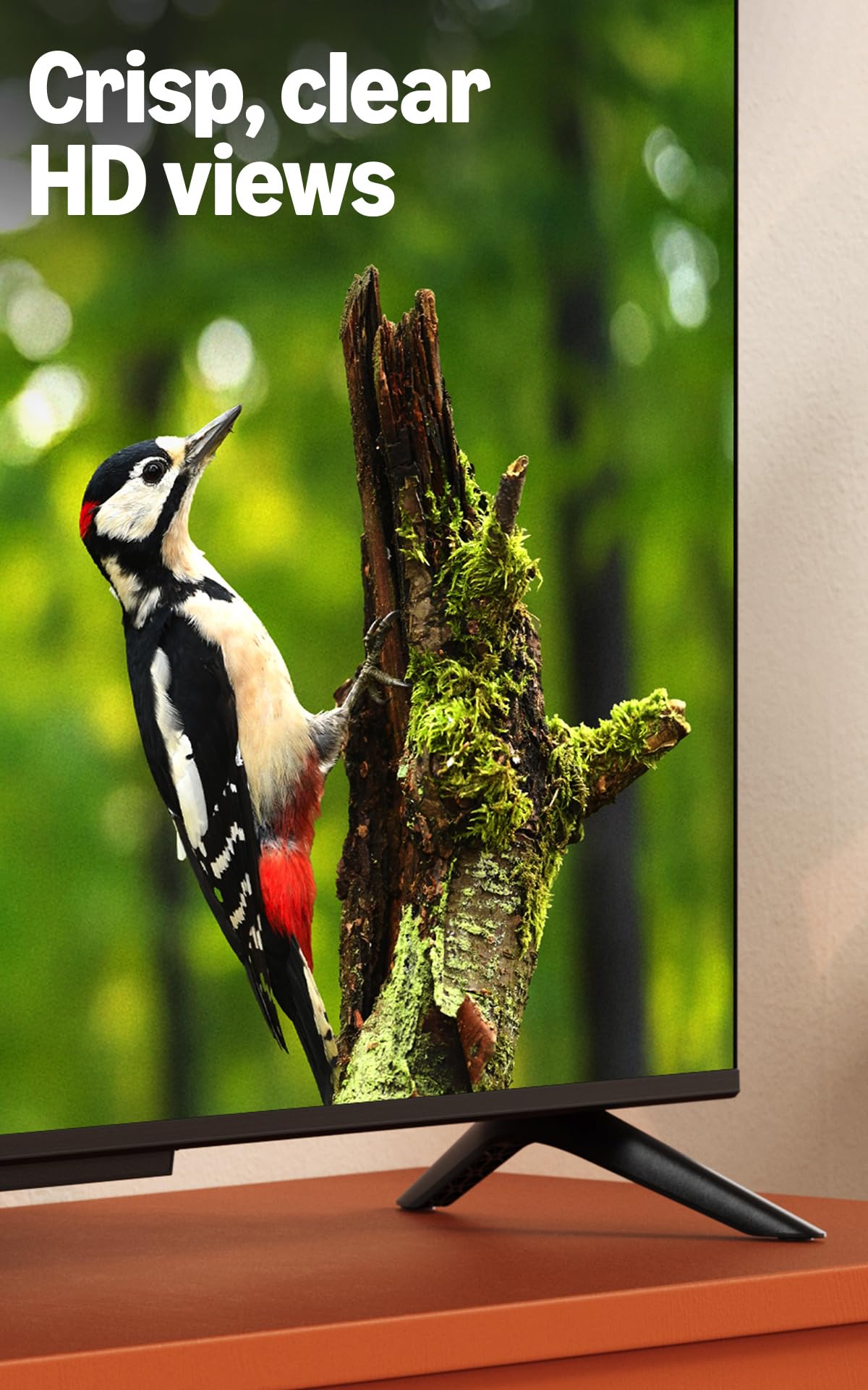 32" HD Smart TV with Alexa Remote O649902