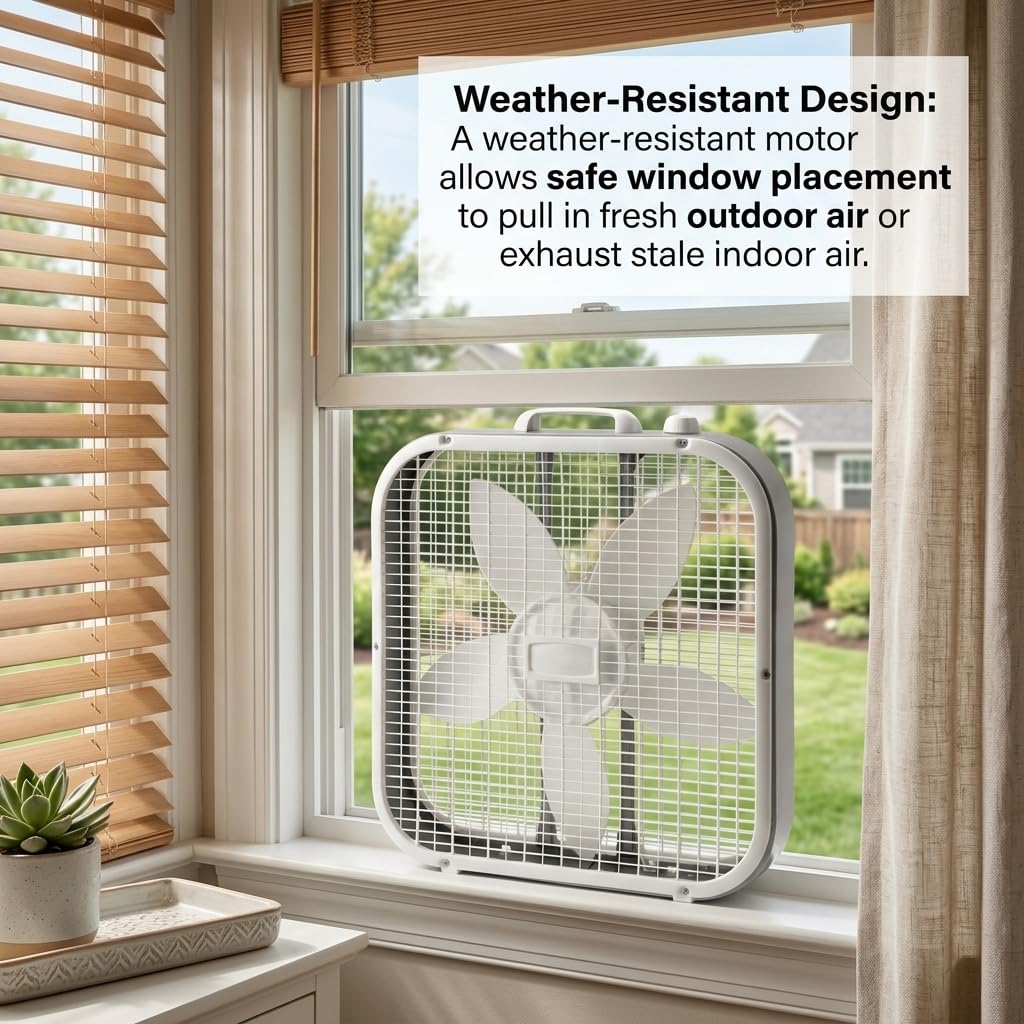 20 Inch 3-Speed Box Fan with Top Handle O19825