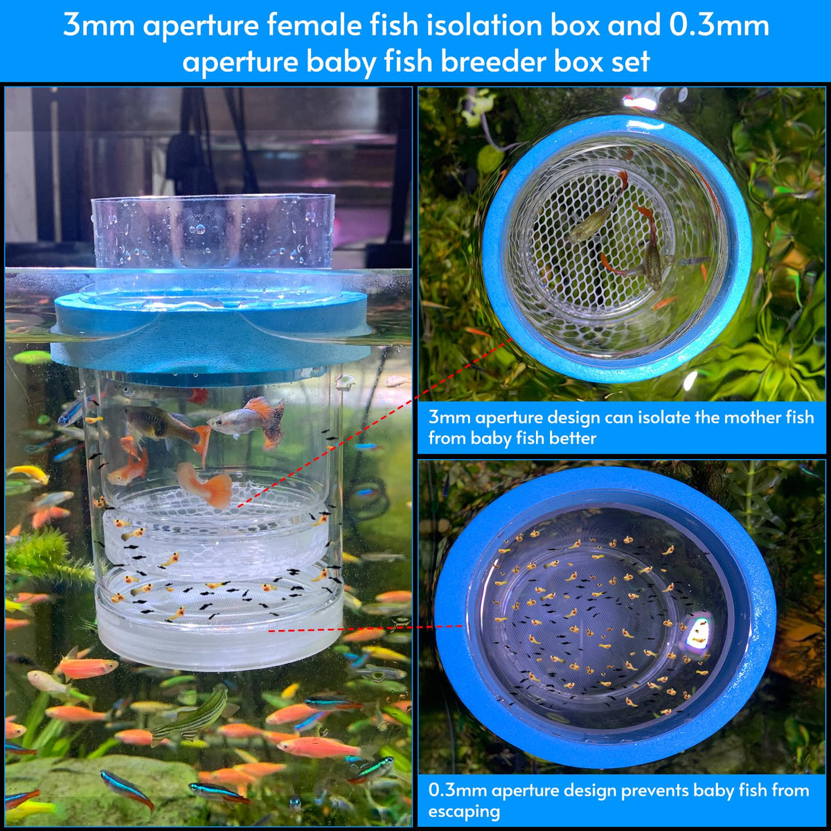 Breeder Box for Fish Tank Isolation Aquarium Separator Hatchery Incubator S152048