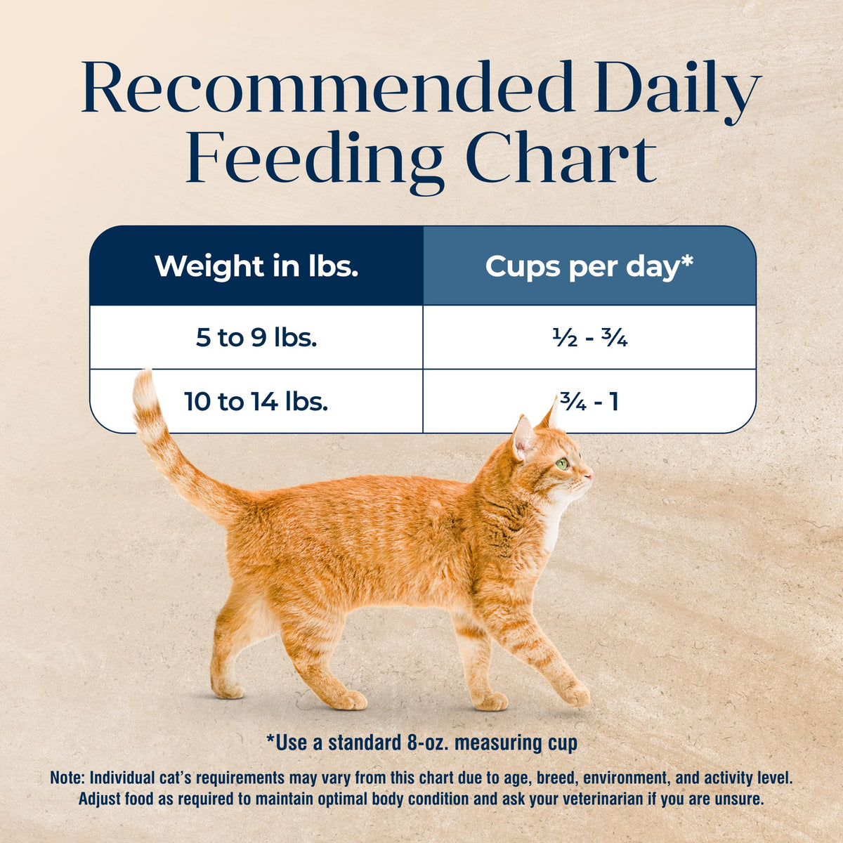 Whitefish Grain-Free Dry Cat Food 5 lb O18745
