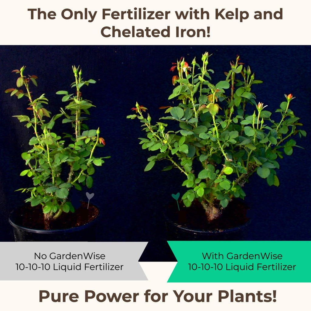 10-10-10 All Purpose Liquid Fertilizer with Seaweed Kelp & Iron 16 oz W82097
