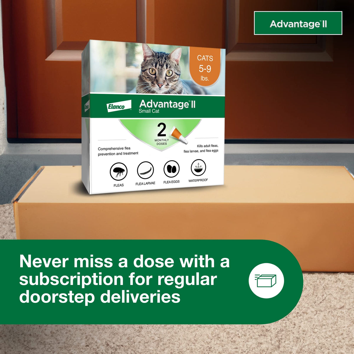 Advantage II Small Cat Topical Flea Treatment & Prevention, 2ct E471