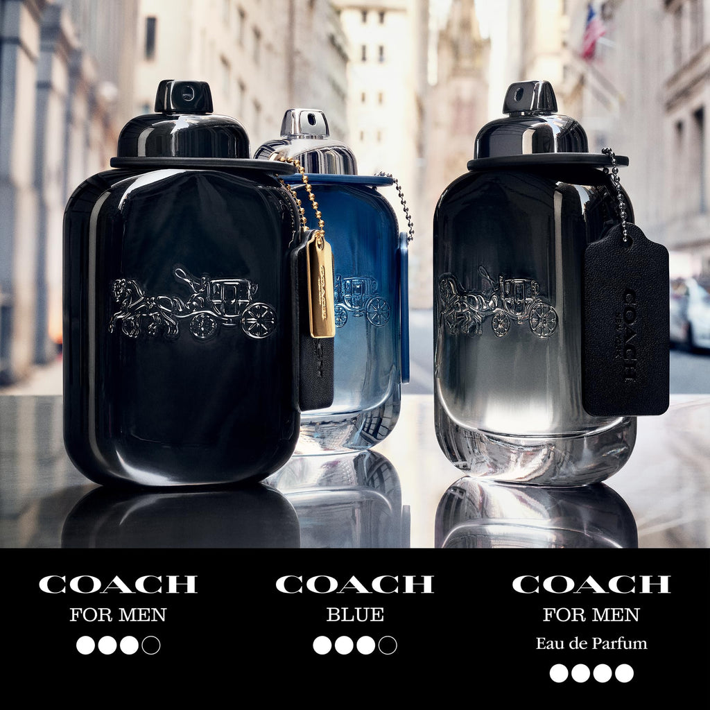 Eau de Toilette Fougere Woody Fragrance C1828