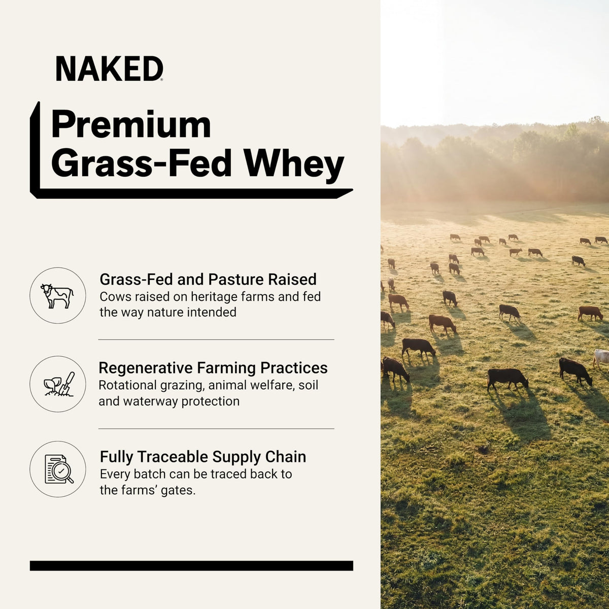 Chocolate Grass Fed Whey Protein Powder Z14630