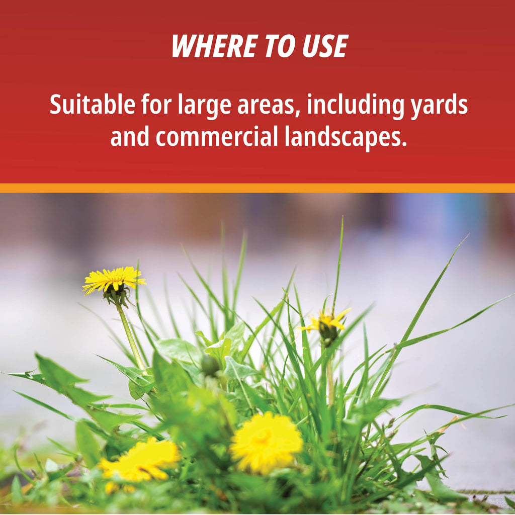 1 Gallon Weed & Grass Killer Concentrate I419