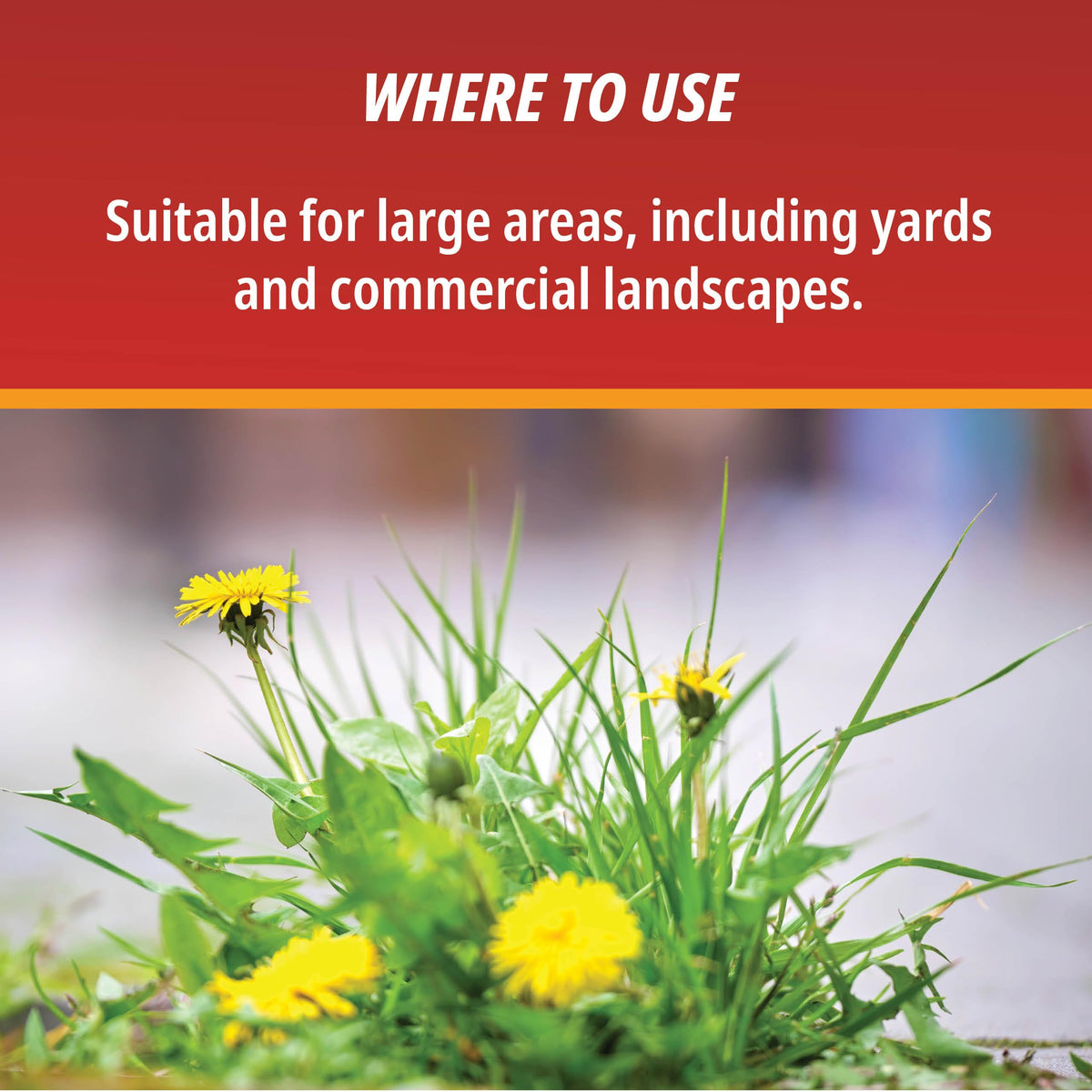 1 Gallon Weed & Grass Killer Concentrate I419