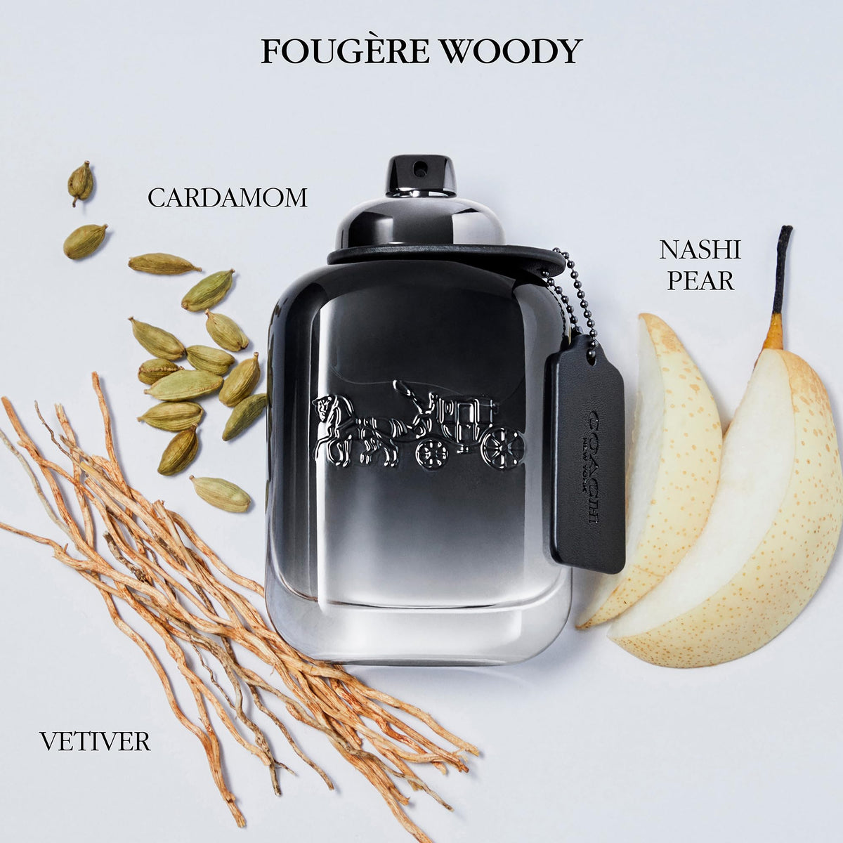 Eau de Toilette Fougere Woody Fragrance C1828