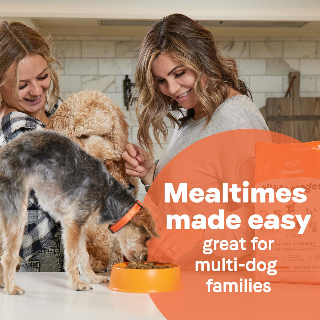 Dry Dog Food with Chicken Turkey & Lamb, 40 lbs A56788