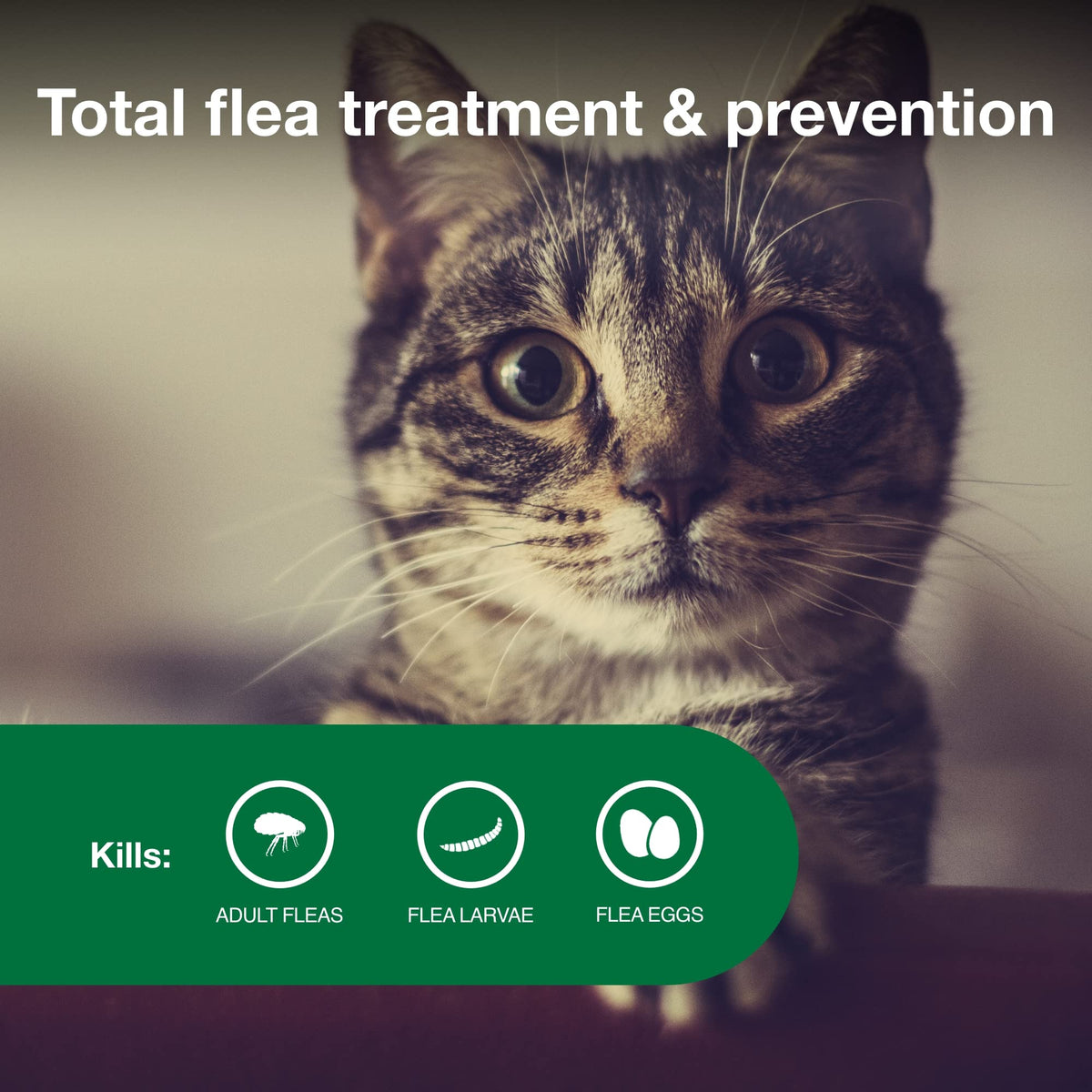 Advantage II Small Cat Topical Flea Treatment & Prevention, 2ct E471