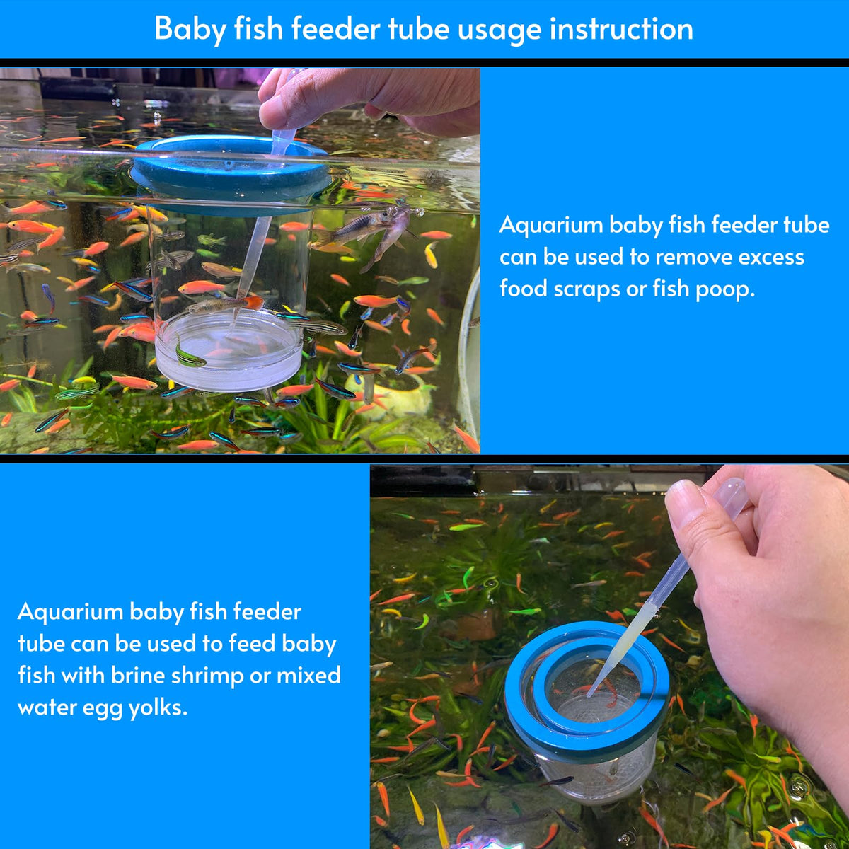 Breeder Box for Fish Tank Isolation Aquarium Separator Hatchery Incubator S152048